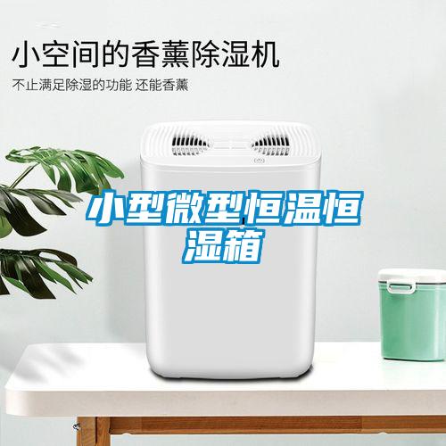 小型微型恒溫恒濕箱