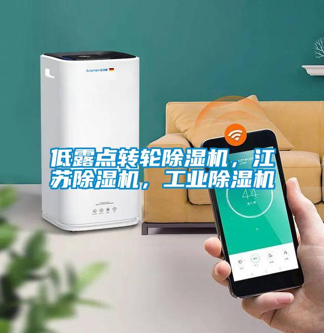 低露點轉(zhuǎn)輪除濕機，江蘇除濕機，工業(yè)除濕機