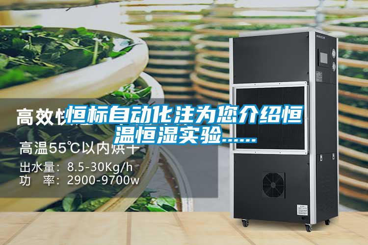 恒標(biāo)自動化注為您介紹恒溫恒濕實驗......