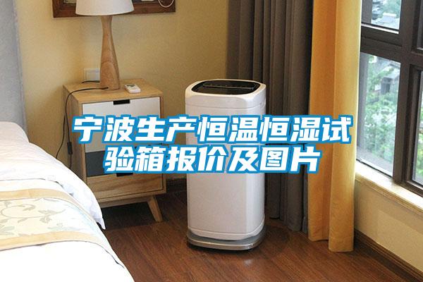 寧波生產(chǎn)恒溫恒濕試驗箱報價及圖片