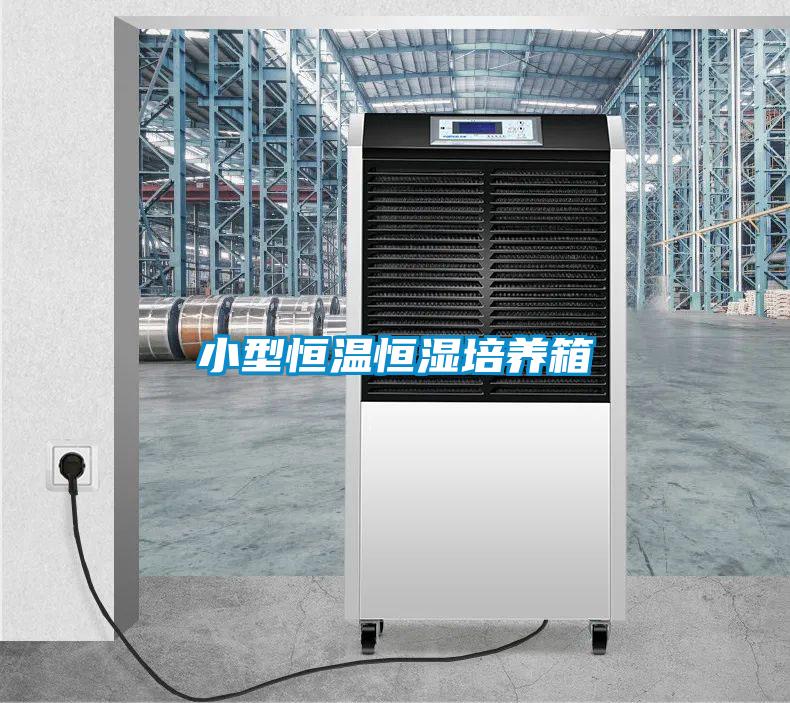 小型恒溫恒濕培養(yǎng)箱