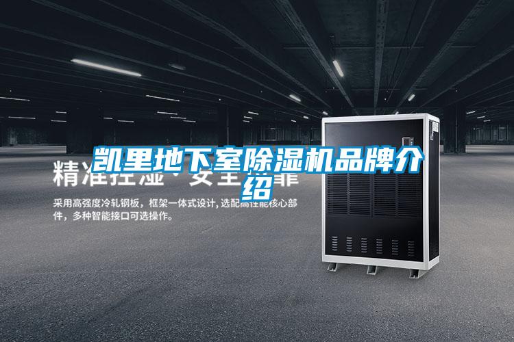 凱里地下室除濕機(jī)品牌介紹