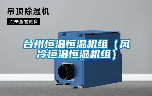 臺(tái)州恒溫恒濕機(jī)組（風(fēng)冷恒溫恒濕機(jī)組）