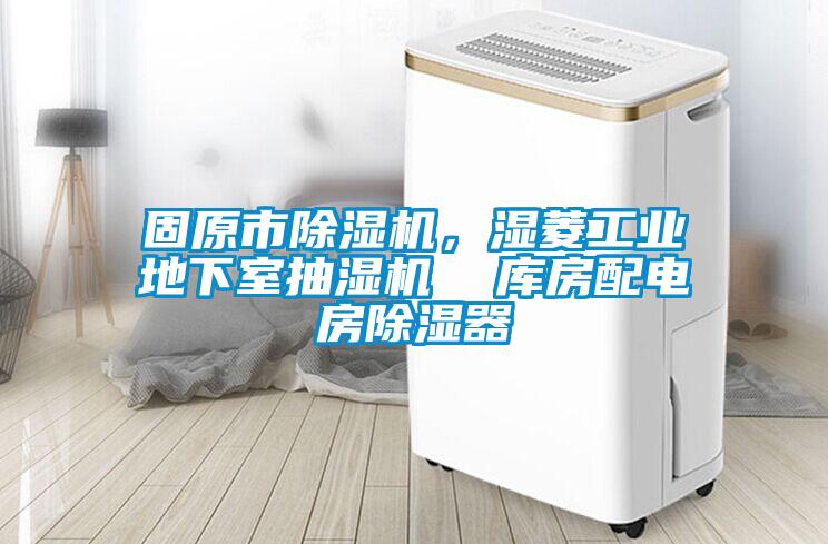 固原市除濕機(jī)，濕菱工業(yè)地下室抽濕機(jī)  庫房配電房除濕器