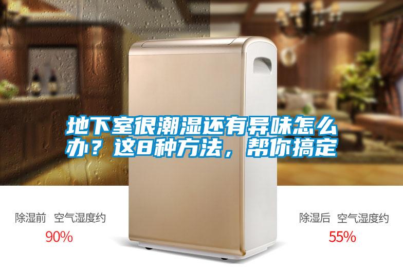 地下室很潮濕還有異味怎么辦？這8種方法，幫你搞定