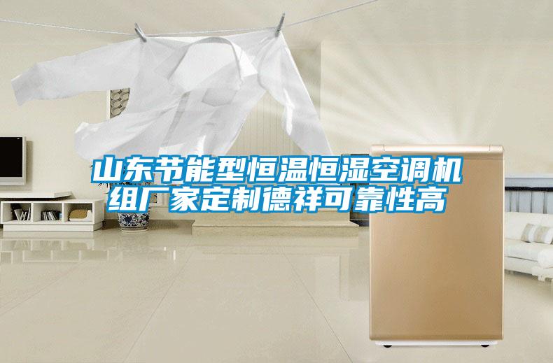 山東節(jié)能型恒溫恒濕空調(diào)機(jī)組廠家定制德祥可靠性高