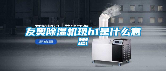 友奧除濕機現h1是什么意思