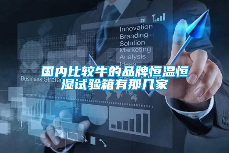國(guó)內(nèi)比較牛的品牌恒溫恒濕試驗(yàn)箱有那幾家
