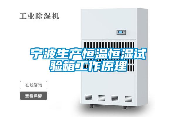 寧波生產(chǎn)恒溫恒濕試驗箱工作原理