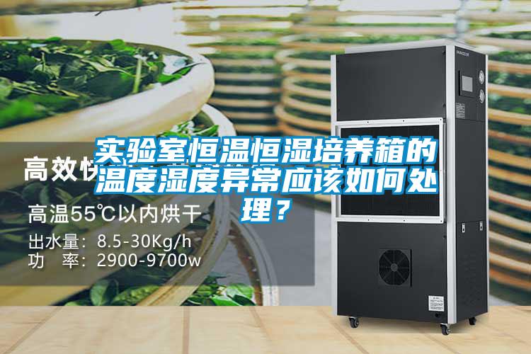 實(shí)驗(yàn)室恒溫恒濕培養(yǎng)箱的溫度濕度異常應(yīng)該如何處理？