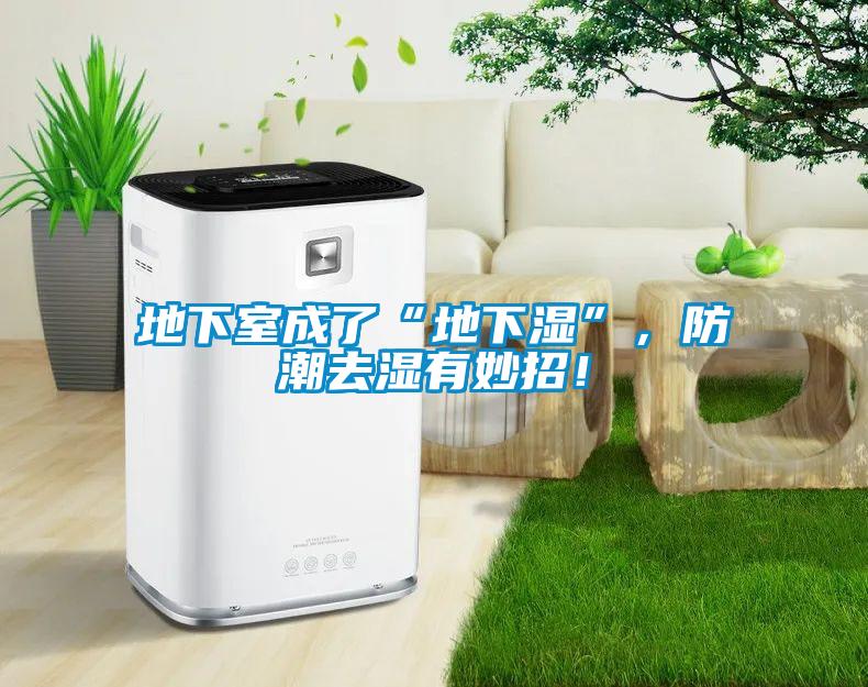 地下室成了“地下濕”，防潮去濕有妙招！