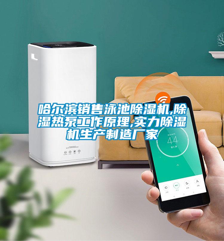 哈爾濱銷售泳池除濕機,除濕熱泵工作原理,實力除濕機生產(chǎn)制造廠家