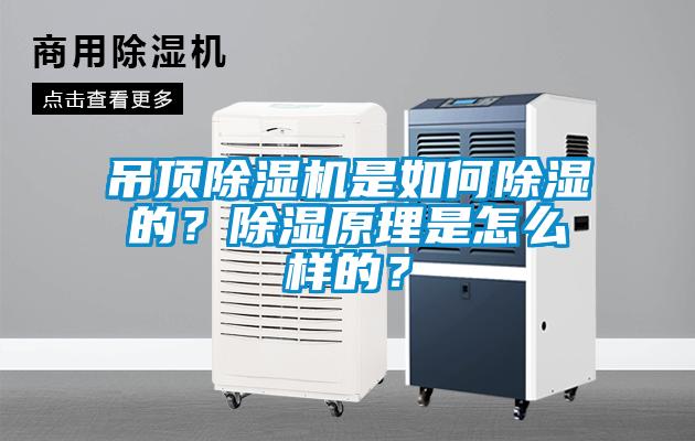 吊頂除濕機(jī)是如何除濕的？除濕原理是怎么樣的？