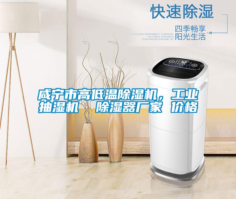 咸寧市高低溫除濕機(jī)，工業(yè)抽濕機(jī)  除濕器廠家 價(jià)格