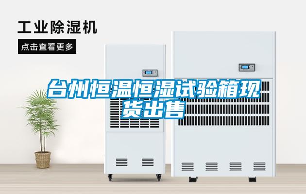 臺(tái)州恒溫恒濕試驗(yàn)箱現(xiàn)貨出售