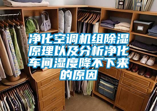 凈化空調(diào)機(jī)組除濕原理以及分析凈化車(chē)間濕度降不下來(lái)的原因
