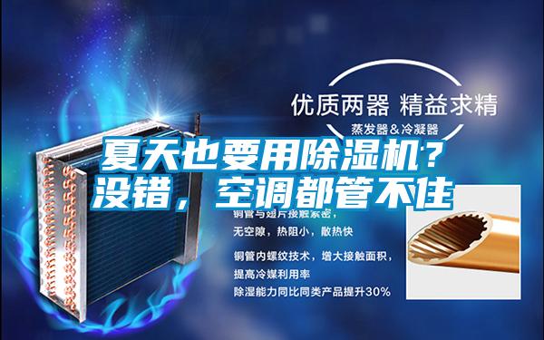 夏天也要用除濕機(jī)？沒錯(cuò)，空調(diào)都管不住