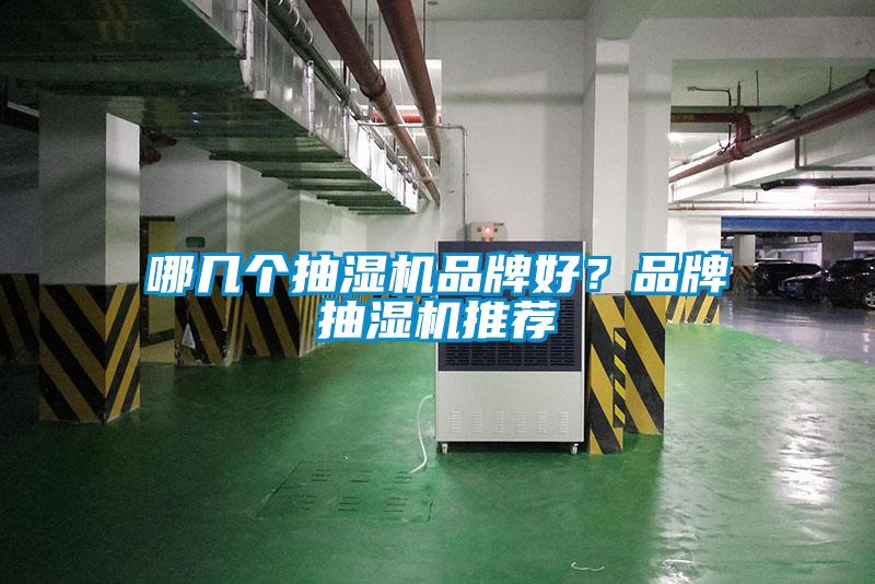 哪幾個(gè)抽濕機(jī)品牌好？品牌抽濕機(jī)推薦