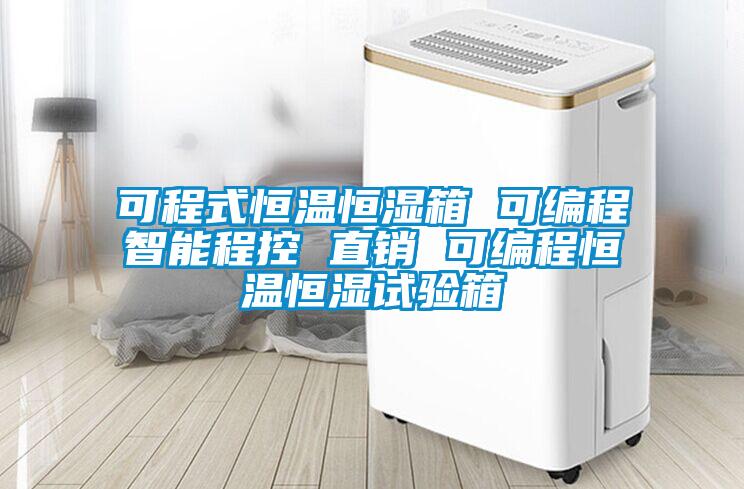 可程式恒溫恒濕箱 可編程智能程控 直銷 可編程恒溫恒濕試驗箱