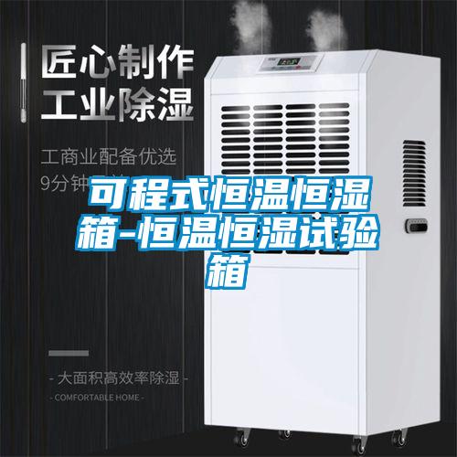 可程式恒溫恒濕箱-恒溫恒濕試驗(yàn)箱