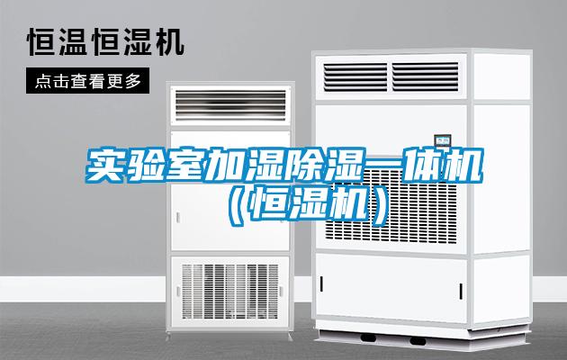 實(shí)驗(yàn)室加濕除濕一體機(jī)（恒濕機(jī)）