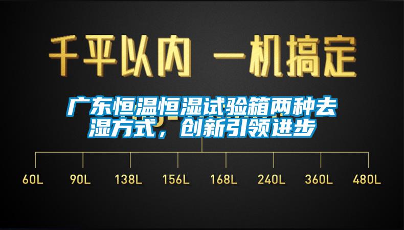 廣東恒溫恒濕試驗箱兩種去濕方式，創(chuàng)新引領(lǐng)進(jìn)步