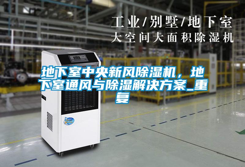 地下室中央新風(fēng)除濕機(jī)，地下室通風(fēng)與除濕解決方案_重復(fù)