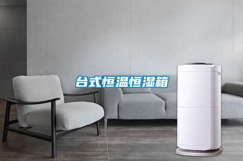 臺(tái)式恒溫恒濕箱