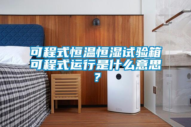 可程式恒溫恒濕試驗箱可程式運(yùn)行是什么意思？