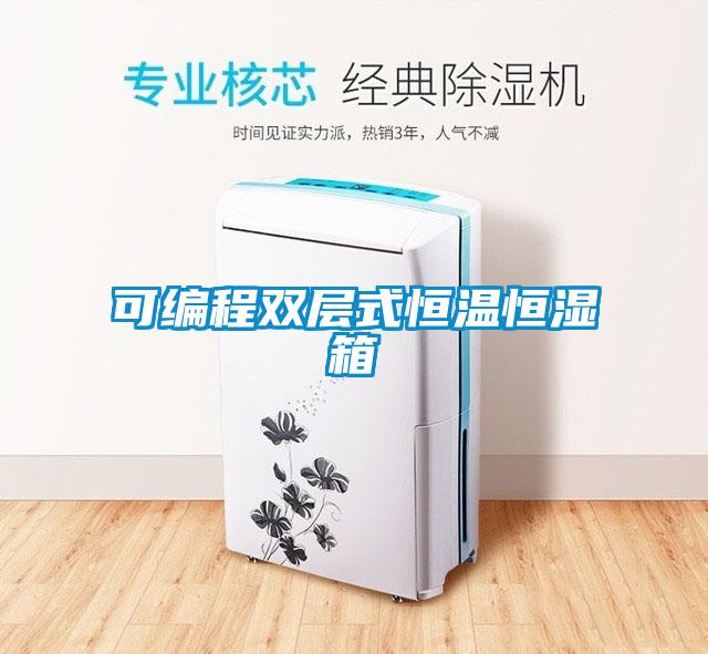 可編程雙層式恒溫恒濕箱