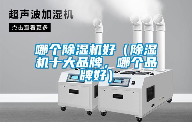 哪個(gè)除濕機(jī)好（除濕機(jī)十大品牌，哪個(gè)品牌好）