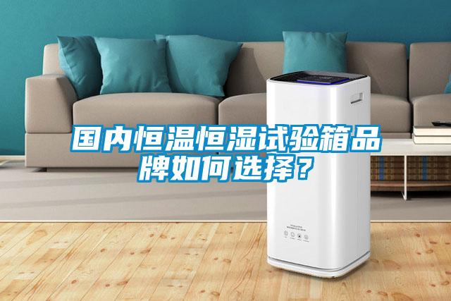 國(guó)內(nèi)恒溫恒濕試驗(yàn)箱品牌如何選擇？