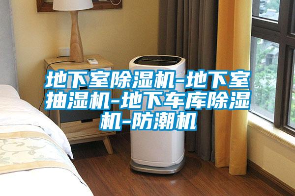 地下室除濕機(jī)-地下室抽濕機(jī)-地下車庫除濕機(jī)-防潮機(jī)