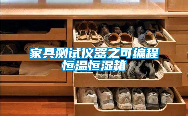 家具測(cè)試儀器之可編程恒溫恒濕箱
