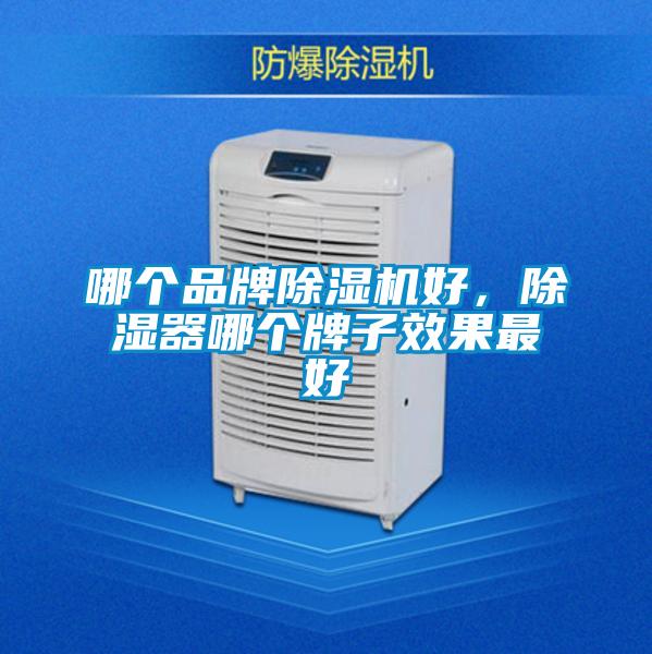 哪個品牌除濕機好，除濕器哪個牌子效果最好