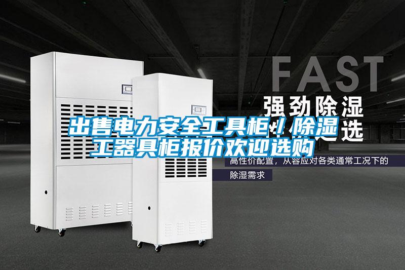 出售電力安全工具柜／除濕工器具柜報(bào)價(jià)歡迎選購(gòu)