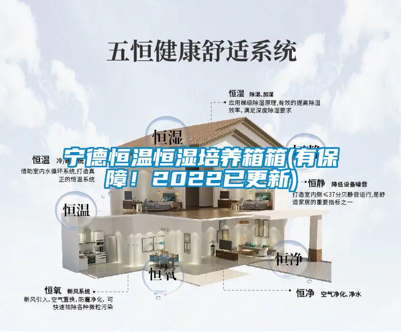 寧德恒溫恒濕培養(yǎng)箱箱(有保障！2022已更新)