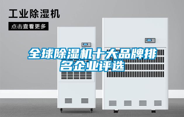 全球除濕機(jī)十大品牌排名企業(yè)評選