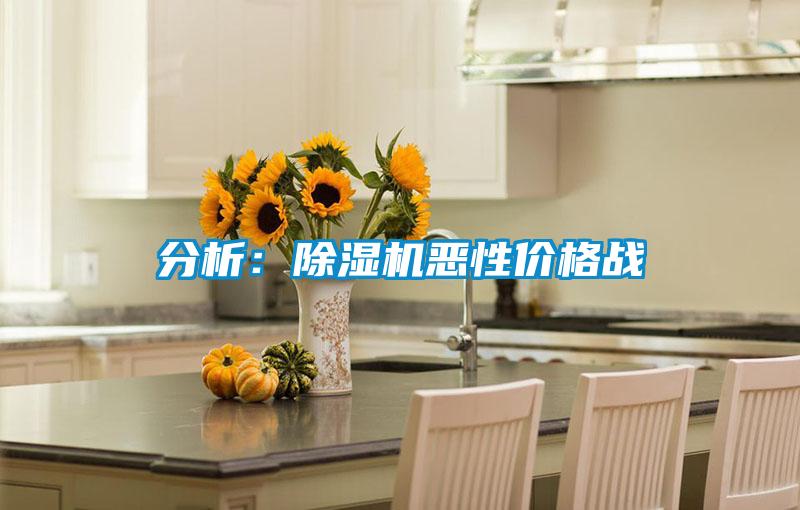 分析：除濕機(jī)惡性?xún)r(jià)格戰(zhàn)