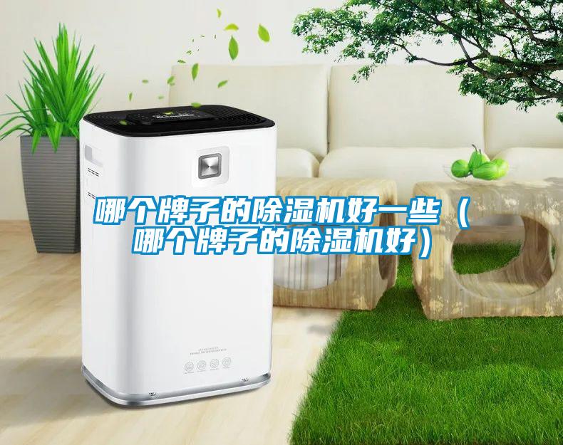 哪個(gè)牌子的除濕機(jī)好一些（哪個(gè)牌子的除濕機(jī)好）