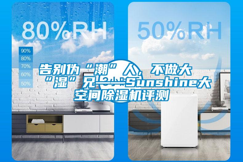 告別偽“潮”人，不做大“濕”兄——Sunshine大空間除濕機評測