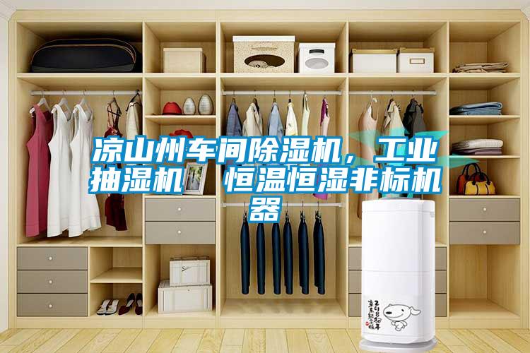 涼山州車間除濕機(jī)，工業(yè)抽濕機(jī)  恒溫恒濕非標(biāo)機(jī)器