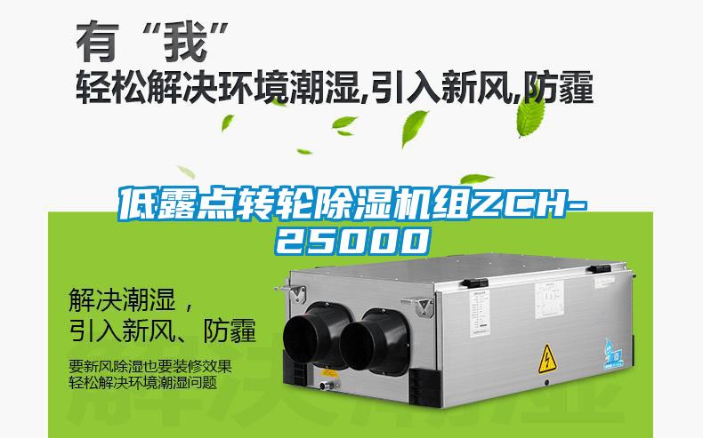 低露點轉(zhuǎn)輪除濕機組ZCH-25000