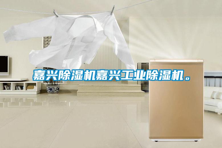 嘉興除濕機(jī)嘉興工業(yè)除濕機(jī)。