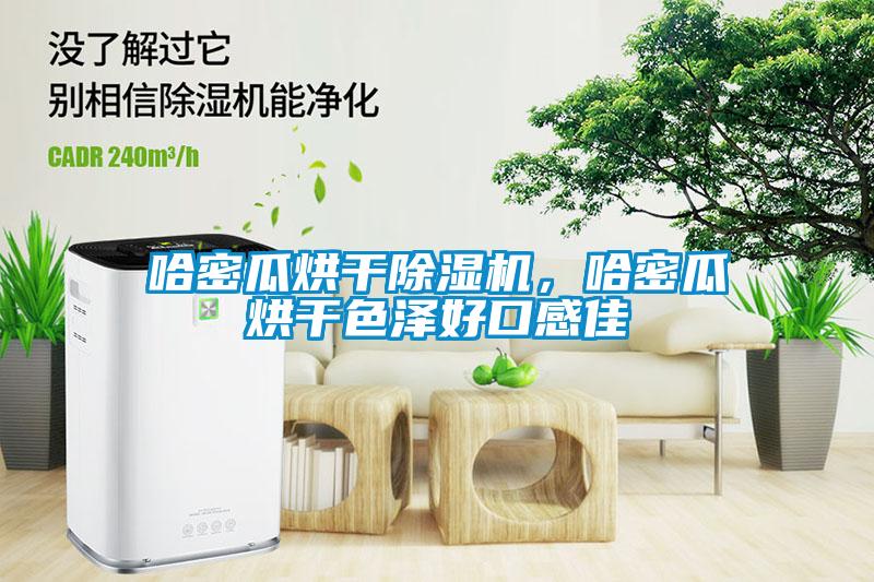 哈密瓜烘干除濕機，哈密瓜烘干色澤好口感佳