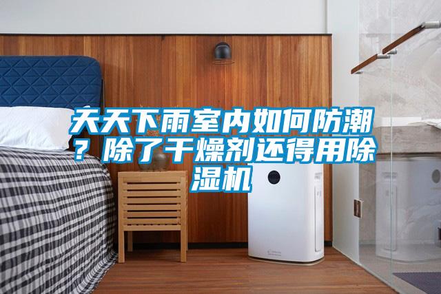 天天下雨室內(nèi)如何防潮？除了干燥劑還得用除濕機(jī)