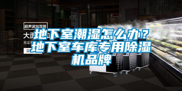 地下室潮濕怎么辦？地下室車庫專用除濕機(jī)品牌
