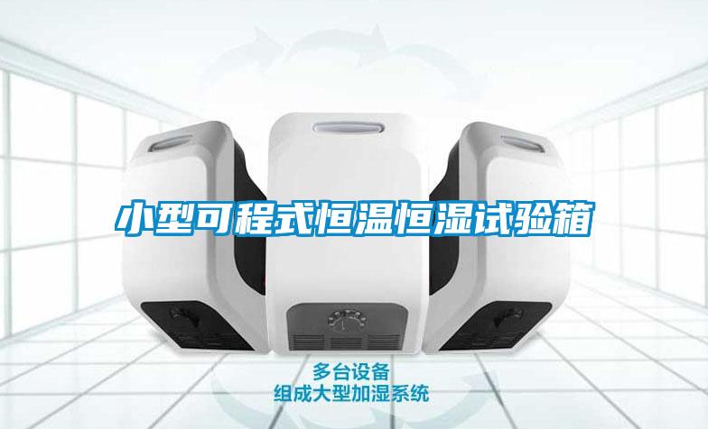小型可程式恒溫恒濕試驗箱