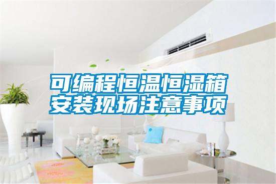 可編程恒溫恒濕箱安裝現(xiàn)場注意事項