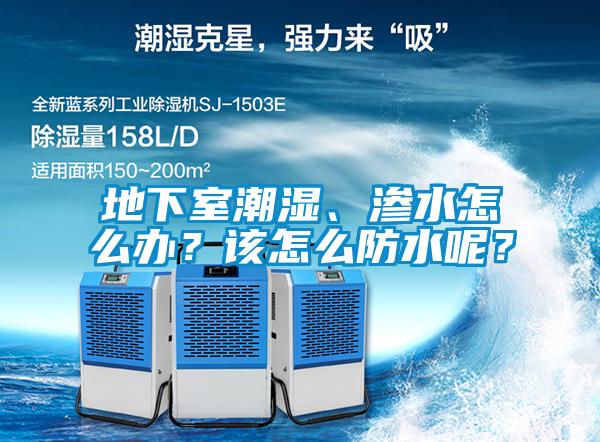地下室潮濕、滲水怎么辦？該怎么防水呢？